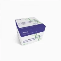 Human virus opic (MPV) v realnem času PCR Assac
